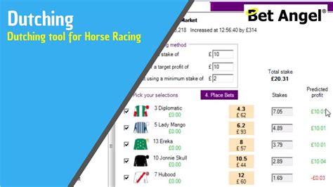 racing bet calculator
